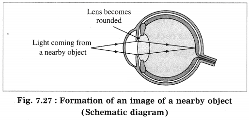 Maharashtra Board Solutions for Class 10- Science (Part 1): Chapter 7- Lenses