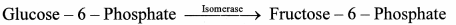 Maharashtra Board Solutions Class 11-Biology: Chapter 6- Biomolecules Question 2.(F)