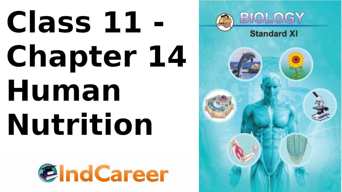 Maharashtra Board For Class 11 Biology Chapter 14 Indcareer Schools