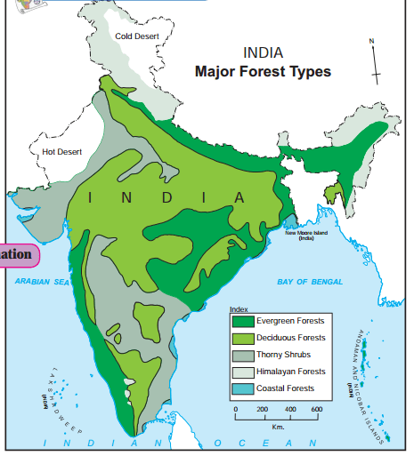 Maharashtra Board Solutions for Class 10- Geography: Chapter 5- Natural Vegetation and Wildlife