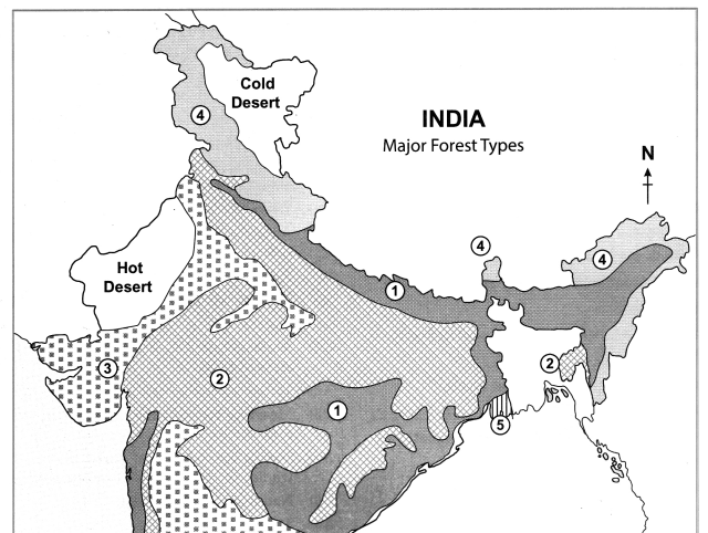 Maharashtra Board Solutions for Class 10- Geography: Chapter 5- Natural Vegetation and Wildlife