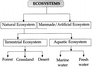 Maharashtra Board Solutions for Class 9- Science: Chapter 7- Energy Flow in an Ecosystem
