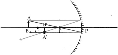Maharashtra Board Solutions for Class 9- Science: Chapter 11- Reflection of Light
