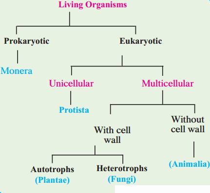 Maharashtra Board Solutions for Class 9- Science: Chapter 6- Classification of Plants
