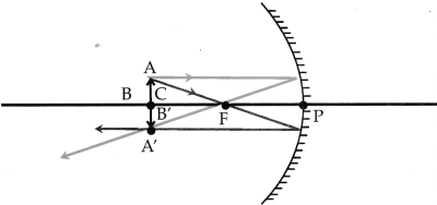 Maharashtra Board Solutions for Class 9- Science: Chapter 11- Reflection of Light