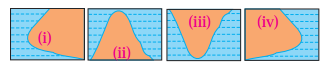 Maharashtra Board Class 10 Geography Solutions Chapter 2 Location and Extent 3