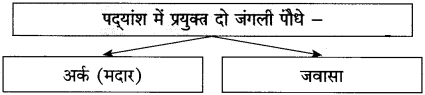 Maharashtra Board Class 10 Hindi Solutions Chapter 1 बरषहिं जलद 15