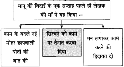 Maharashtra Board Class 10 Hindi Solutions Chapter 10 ठेस 17