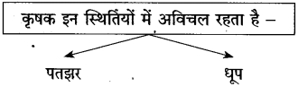 Maharashtra Board Class 10 Hindi Solutions Chapter 11 कृषक गान 6