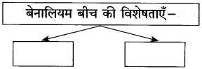 Maharashtra Board Class 10 Hindi Solutions Chapter 5 गोवा जैसा मैंने देखा 15
