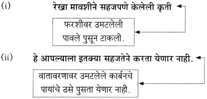 Maharashtra Board Class 10 Marathi Aksharbharati Solutions Chapter 7 फूटप्रिन्टस 32