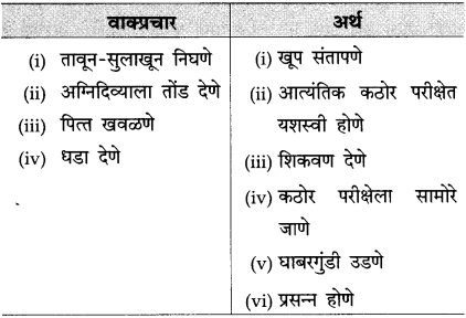 Maharashtra Board Class 10 Marathi Solutions Chapter 11 गोष्ट अरुणिमाची 14