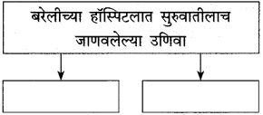 Maharashtra Board Class 10 Marathi Solutions Chapter 11 गोष्ट अरुणिमाची 7