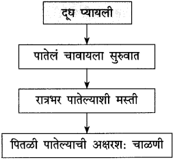 Maharashtra Board Class 10 Marathi Solutions Chapter 17 सोनाली 31