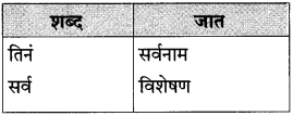 Maharashtra Board Class 10 Marathi Solutions Chapter 17 सोनाली 33