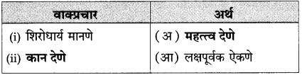 Maharashtra Board Class 10 Marathi Solutions Chapter 17 सोनाली 48