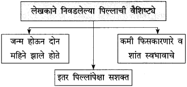 Maharashtra Board Class 10 Marathi Solutions Chapter 17 सोनाली 8