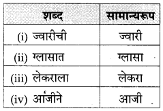 Maharashtra Board Class 10 Marathi Solutions Chapter 3 आजी कुटुंबाचं आगळ 31