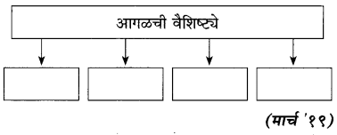 Maharashtra Board Class 10 Marathi Solutions Chapter 3 आजी कुटुंबाचं आगळ 9