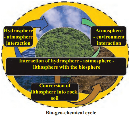 Maharashtra Board Class 9 Science Solutions Chapter 7 Energy Flow in an Ecosystem 5
