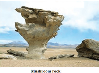 Maharashtra Board Solutions for Class 9- Geography: Chapter 4- Exogenetic Movements Part 2