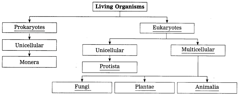 Maharashtra Board Solutions Class 8-Science: Chapter 1- Living World and Classification of Microbes
