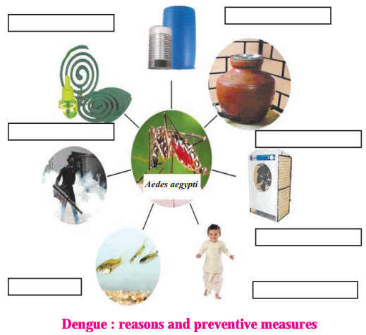 Maharashtra Board Solutions Class 8-Science: Chapter 2- Health and Diseases
