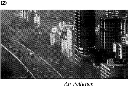 Maharashtra Board Class 9 Geography Solutions Chapter 10 Urbanisation Human 7