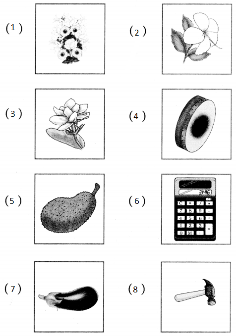 Maharashtra Board Class 5 Hindi Solutions Chapter 16 बोलो और जानो 2