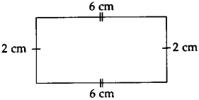 Maharashtra Board Class 5 Maths Solutions Chapter 12 Perimeter and Area Problem Set 48 10