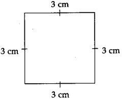 Maharashtra Board Class 5 Maths Solutions Chapter 12 Perimeter and Area Problem Set 48 11