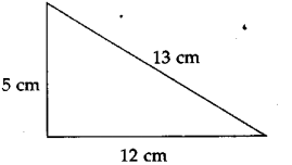Maharashtra Board Class 5 Maths Solutions Chapter 12 Perimeter and Area Problem Set 48 12