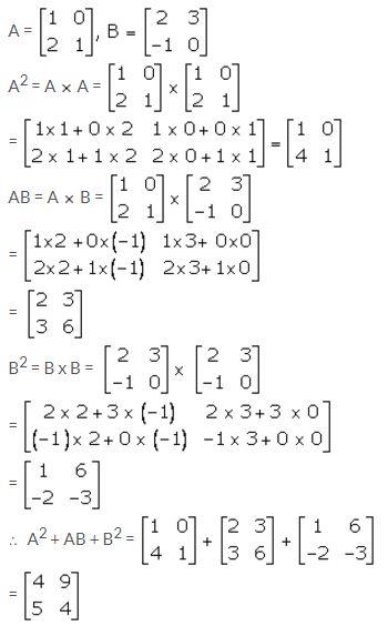 Selina Concise Mathematics Class 10 ICSE Solutions Matrices image - 138