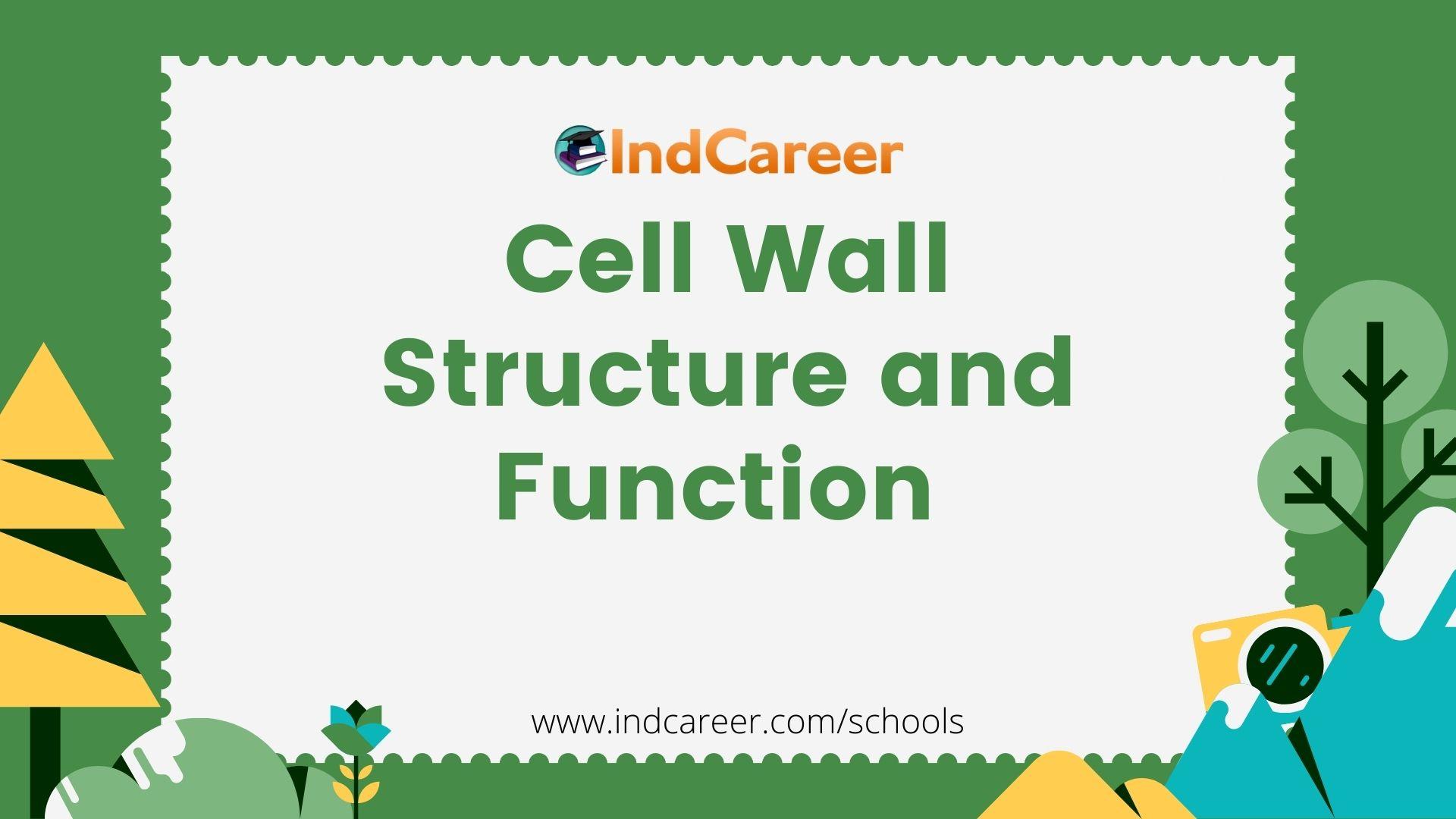 cell-wall-structure-and-function-indcareer-schools