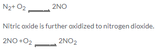 selina-icse-solutions-class-10-chemistry-nitric-acid-2