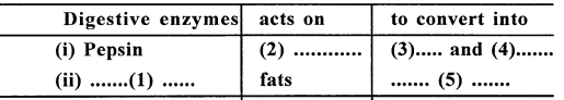 Selina Concise Biology Class 6 ICSE Solutions - Digestive System 4