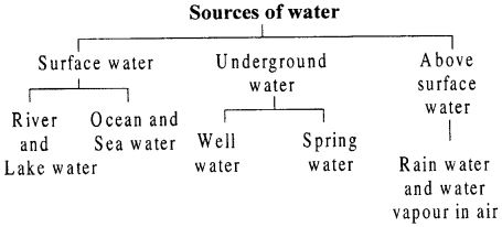 Selina Concise Chemistry Class 6 ICSE Solutions Chapter 7 Water 1
