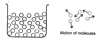 Selina Concise Physics Class 6 ICSE Solutions Chapter 1 Matter 11