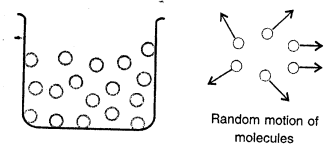 Selina Concise Physics Class 6 ICSE Solutions Chapter 1 Matter 12