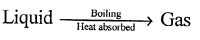 Selina Concise Physics Class 6 ICSE Solutions Chapter 1 Matter 15