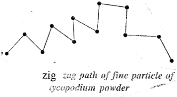 Selina Concise Physics Class 6 ICSE Solutions Chapter 1 Matter 6