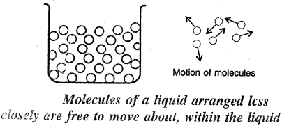 Selina Concise Physics Class 6 ICSE Solutions Chapter 1 Matter 8