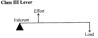 Selina Concise Physics Class 6 ICSE Solutions Chapter 4 Simple Machines 13