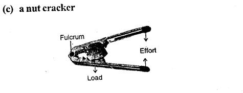 Selina Concise Physics Class 6 ICSE Solutions Chapter 4 Simple Machines 16