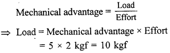 Selina Concise Physics Class 6 ICSE Solutions Chapter 4 Simple Machines 22