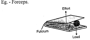 Selina Concise Physics Class 6 ICSE Solutions Chapter 4 Simple Machines 8