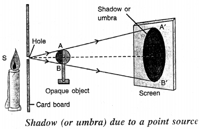 Selina Concise Physics Class 6 ICSE Solutions Chapter 5 Light 10