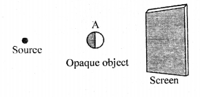 Selina Concise Physics Class 6 ICSE Solutions Chapter 5 Light 12