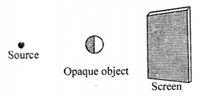 Selina Concise Physics Class 6 ICSE Solutions Chapter 5 Light 13