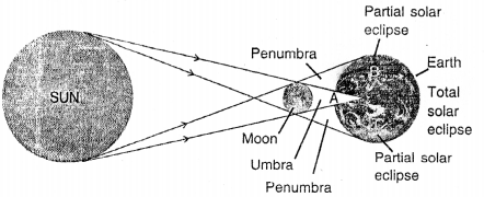 Selina Concise Physics Class 6 ICSE Solutions Chapter 5 Light 18